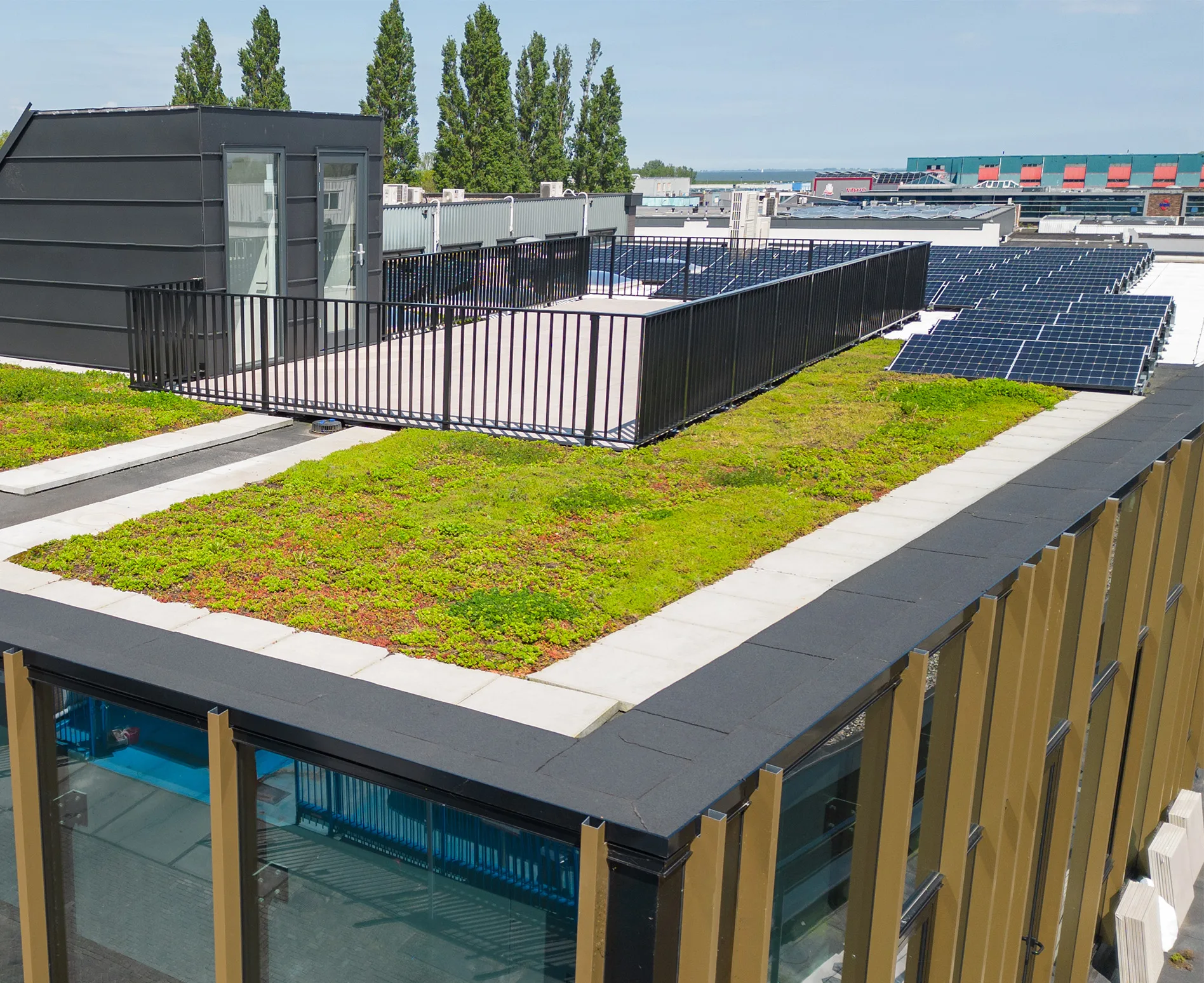 duurzaam groendak sedumdak korff dakwerken