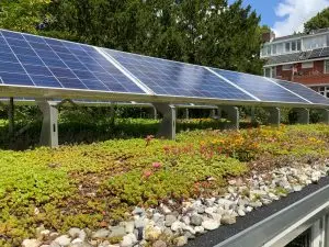 voordelen_sedumdak_met_zonnepanelen