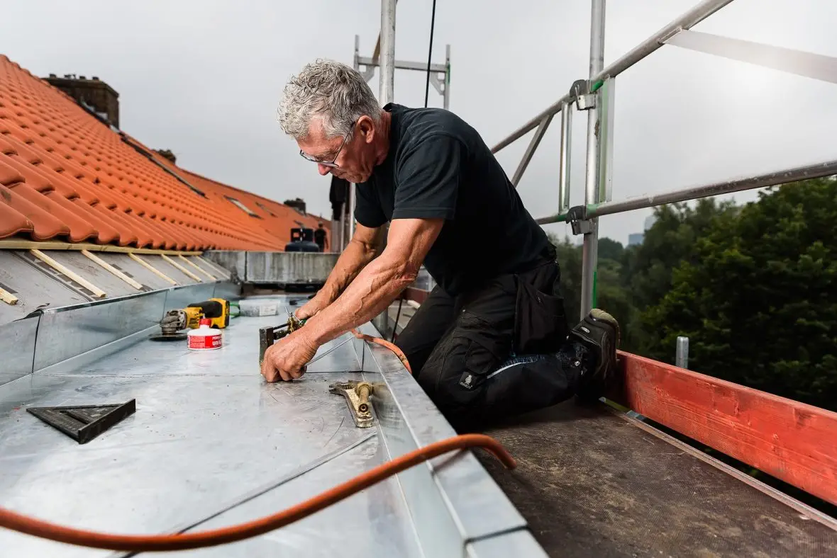 Dakpannen Reinigen afbeelding