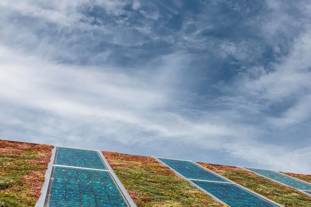 Groendaken met zonnepanelen afbeelding