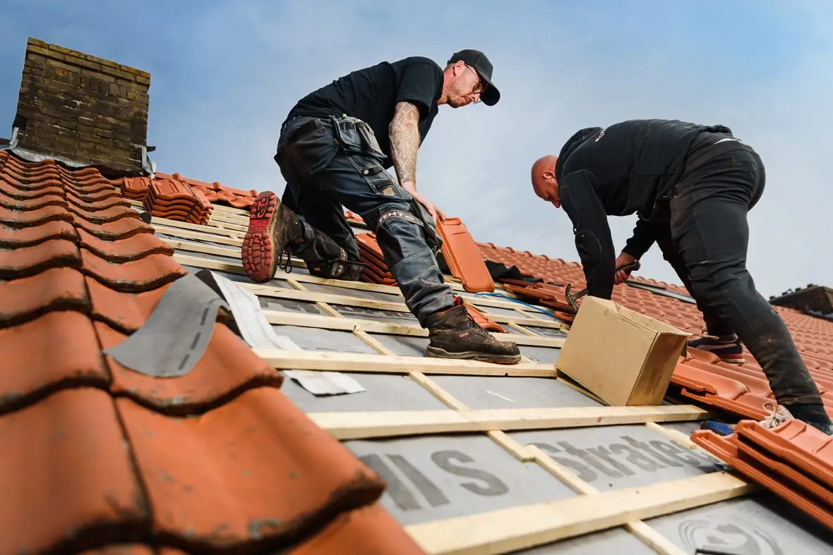 Sedumdak met zonnepanelen  afbeelding